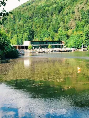 Bild von Thaler See Garten