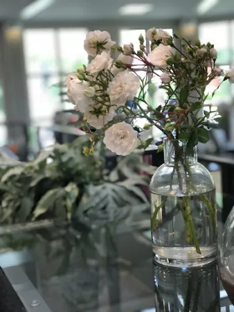 Bild von Restaurant Brasserie Golfclub Syke