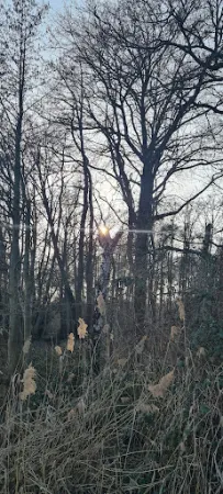 Bild von Fischerstübchen Mardorf