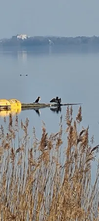 Bild von Fischerstübchen Mardorf