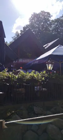 Bild von Mooshütte
