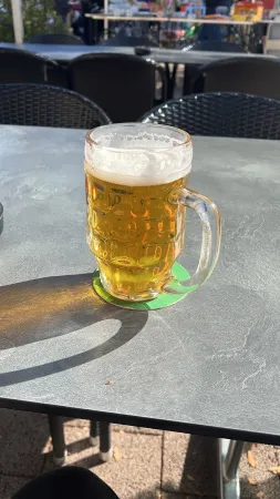Schmuse Bär