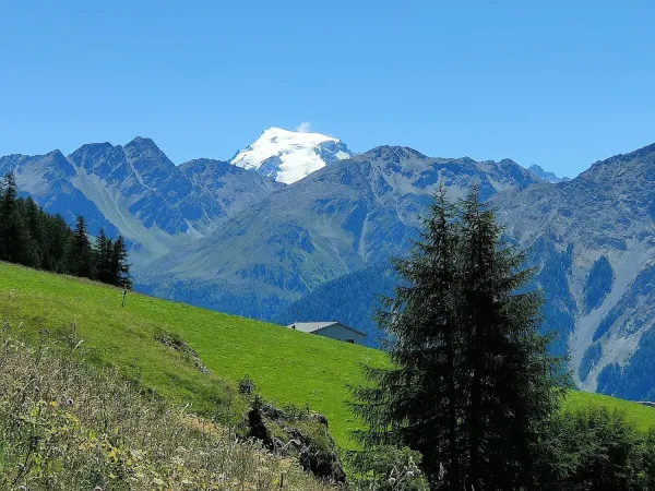 Bild von Sergio de Eccher