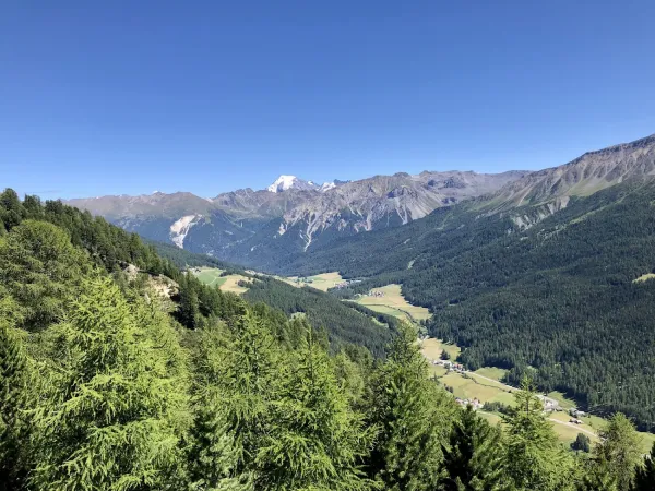 Bild von Martin Berger