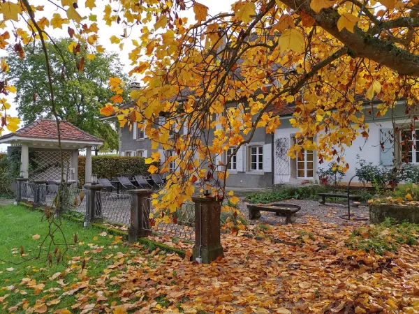 Bild von Jean-Marc Uehlinger