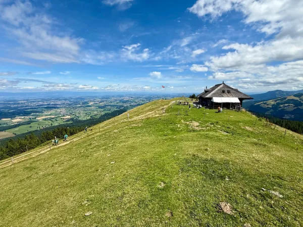Bild von Damian Lewinski