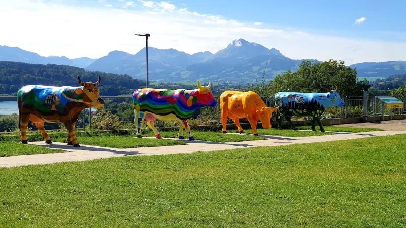 Bild von Donna Luisa