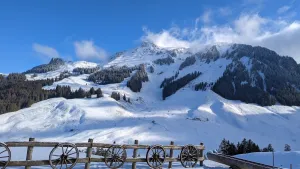 Alpchäsi & Alpbuvette Gantrischli