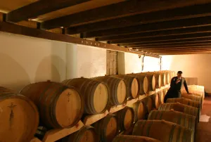 Domaine Les Faunes