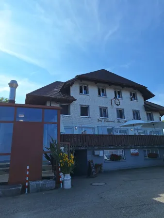 Bild von delfin ritz