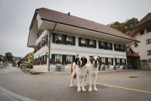 Gasthof Löwen