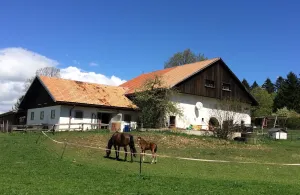 La Gentiane