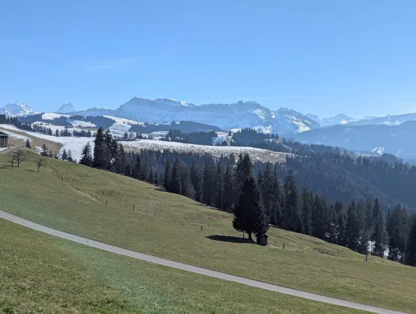 Bild von Markus Müller