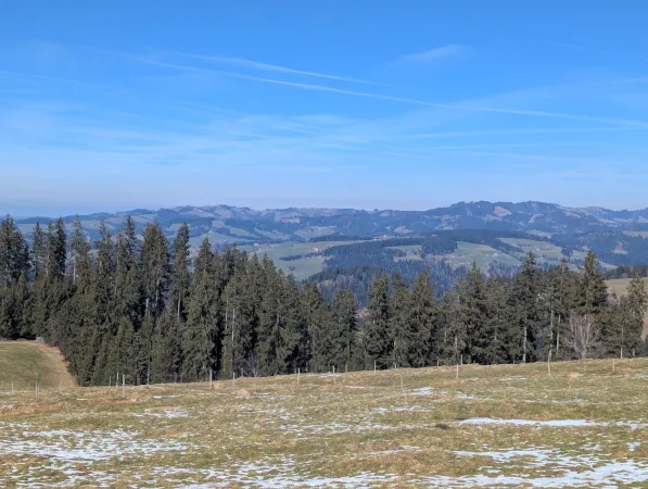 Bild von Markus Müller