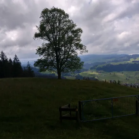 Bild von Jan Heubi