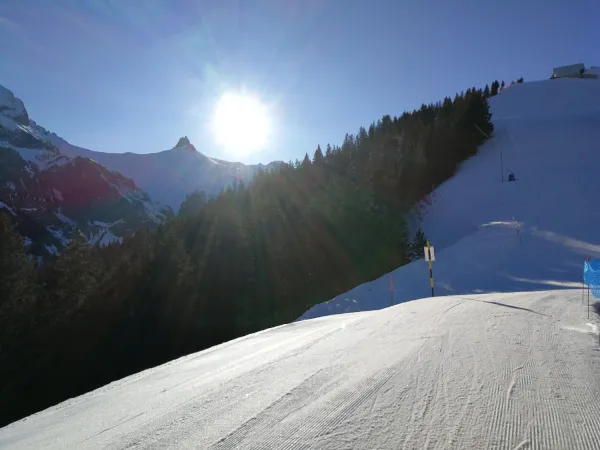 Bild von Maik Poppendieker