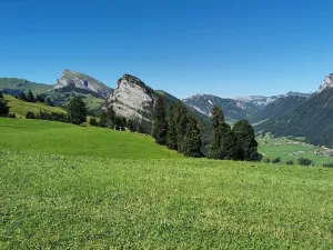 Springenboden