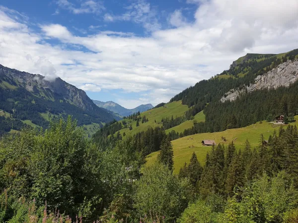 Bild von Claudia Buchser
