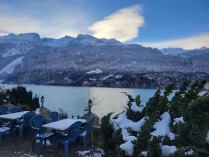 Seehotel Sternen Brienz