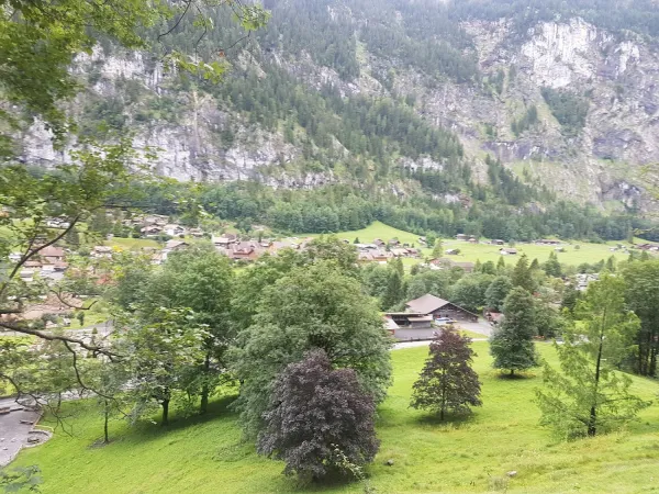 Bild von الرحال العماني