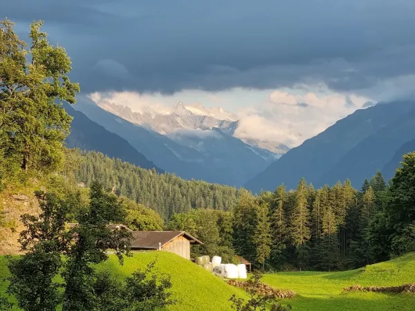 Bild von Christian Haller