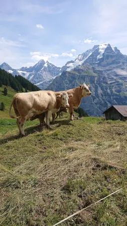 Bild von Claudio Alborghetti