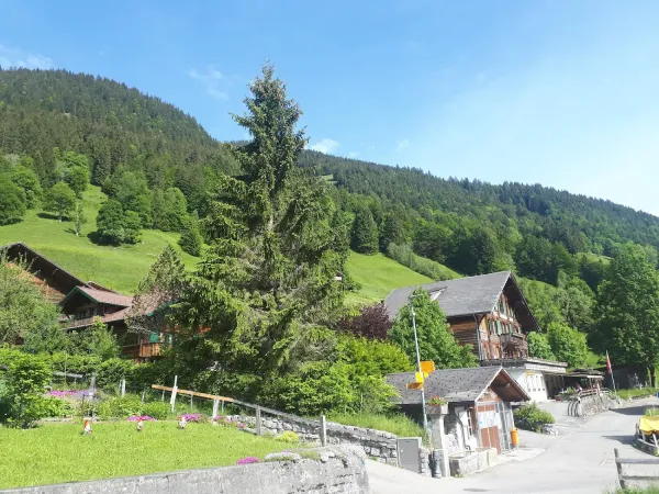 Bild von undefined