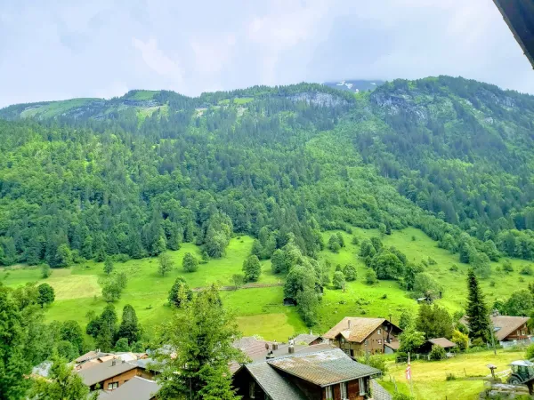 Bild von undefined