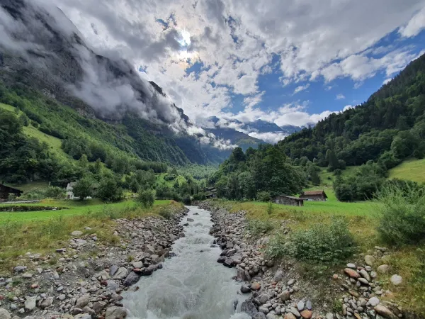 Bild von Ruben van Miert