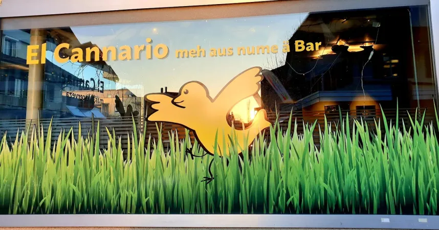 Bild von Barbara Gfeller