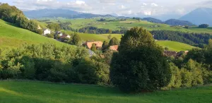 Mühlestygen