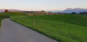 Mühlestygen