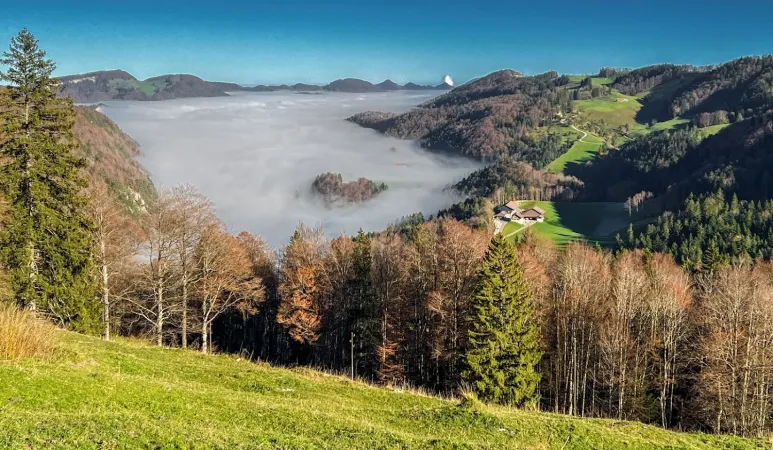 Bild von K. Stich