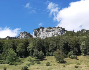 Bergwirtschaft Hofbergli