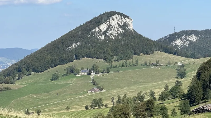Bild von Daniele