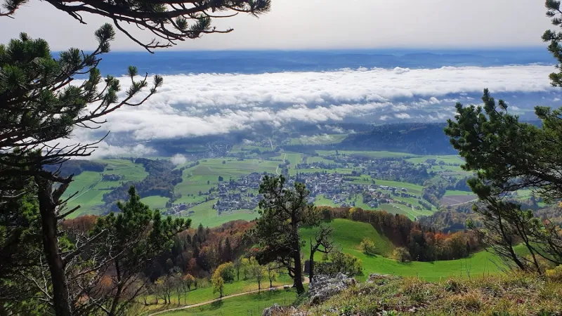 Bild von Andreas Berger