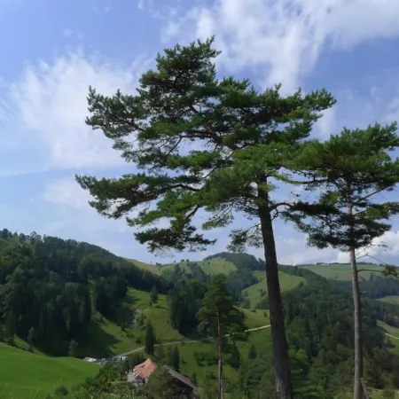 Bild von undefined
