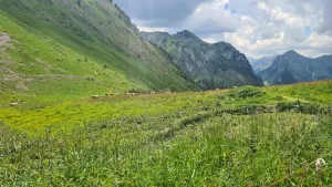 Obere Walalp