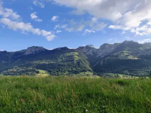 Gasthaus Bergli