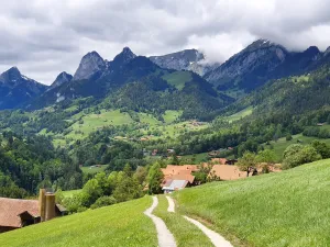 Bären Bunschen
