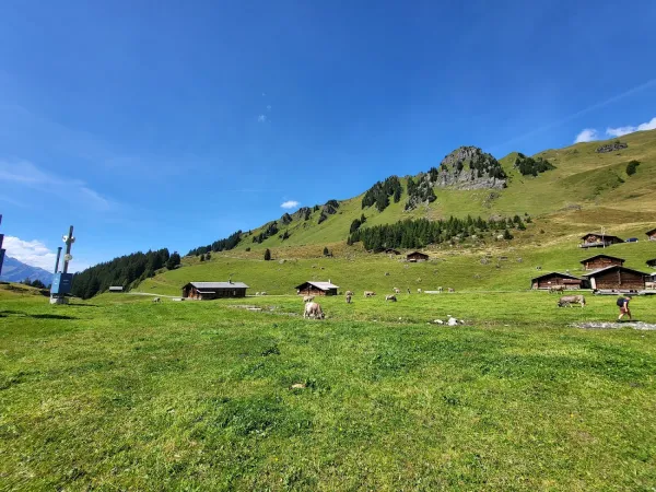 Bild von undefined