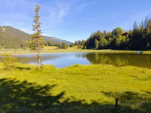 Lauenensee Restaurant
