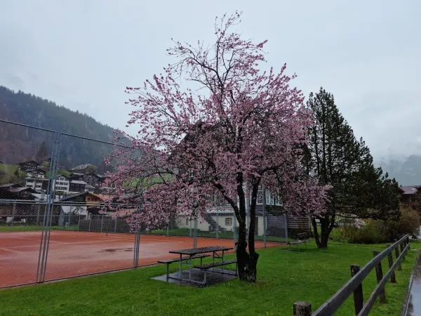 Bild von milabmw