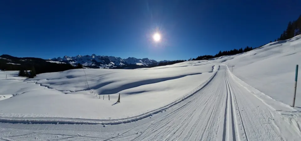 Bild von Lars Nilsson