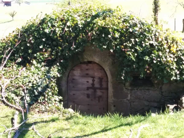 Bild von undefined