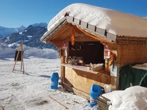Panoramahof