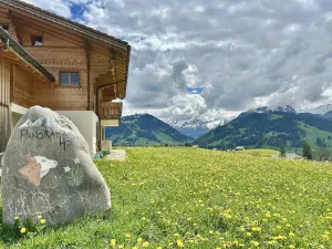 Panoramahof