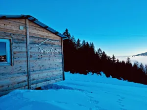 Furgge Gadä