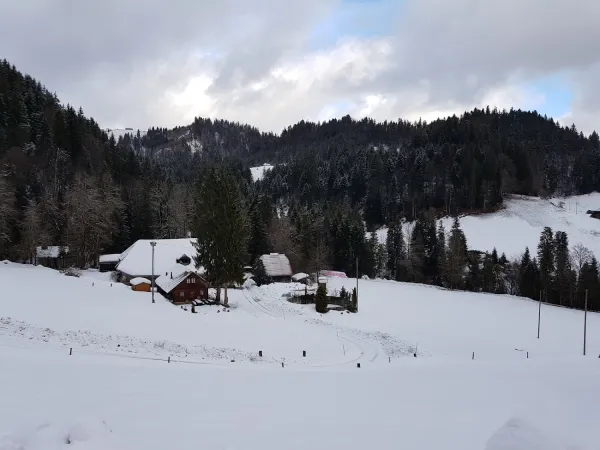 Bild von Christina Rechsteiner