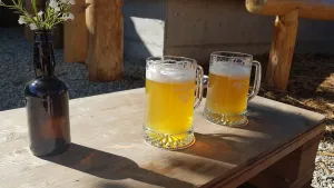 Brauschüür